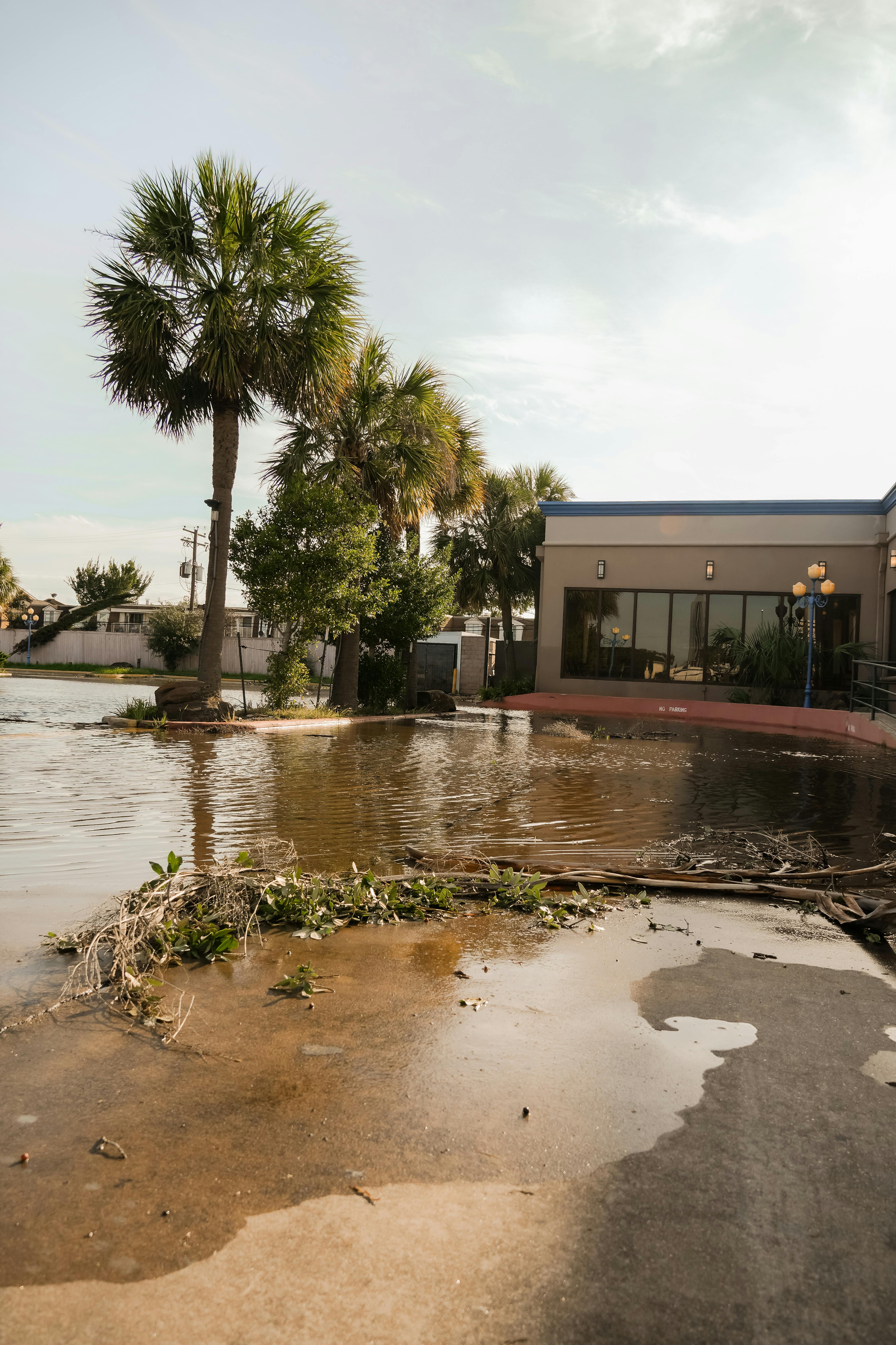 Details about Water and Fire Damage Restoration Consulting in Tampra Bay, Florida